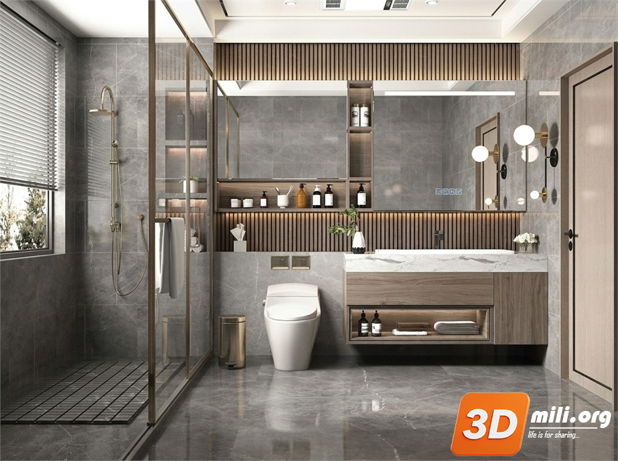 Toilet Skp Files 